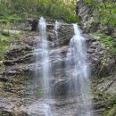 자연의숨결 이미지