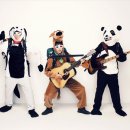 낙원밤바다 이미지