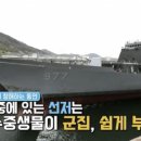 수어통역협동조합