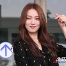 구찌비어 이미지