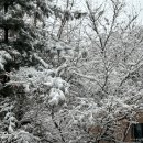 유정이네민박 이미지