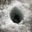 피싱랜드 | 서울랜드 도시빙어 낚시 눈썰매장 근처 준비물/꿀팁/후기