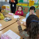 월영초등학교 이미지