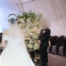 오빠쏴 | w11. 소노펠리체컨벤션 본식 스냅 후기ㅣ오브프레임 채림대표님