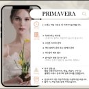 더프리마베라 웨딩 | 창원 프리마베라 본식 드레스 피팅 후기