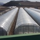 도청대로93번길 이미지