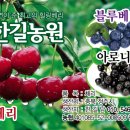 한길전단