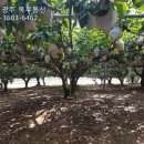 녹지공인중개사사무소 이미지
