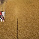 풍년축산 이미지