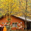 왕산농장 이미지