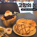 고향의봄길 | 빵이 맛있는 화성 대형 베이커리 고향의봄 팥빙수