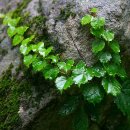 방화동가족휴가촌 이미지