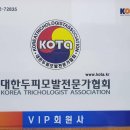 드메이 이미지