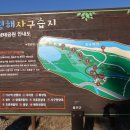 평해사구습지 이미지