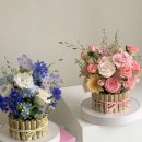 시트러스디자인 이미지