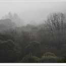 꿈동산