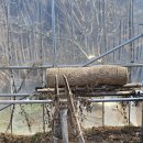 당산나무 공중화장실 이미지