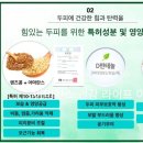 소노지아 이미지