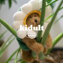 키덜트신(Kidult Shin) | 보이즈베어 데이지 후기부터 구매 방법까지