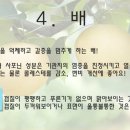 10월 제철음식, 환절기 건강 지키는 과일! 이미지