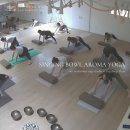 싱잉볼의 부드러운 울림으로 마음을 채우다(싱잉볼 마음챙김 테라피) | 📌 일산 주엽 아무브 요가 – 향기와 울림으로 회복하는 싱잉볼 아로마 요가