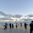 일조집,회춘 해운대점 | 부산 가볼만한곳 해운대 조개구이 : 일조집 내돈내산후기