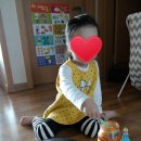 신한냉동 이미지
