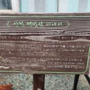 삼부자미나리 이미지