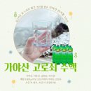희정농장 네이버블로그