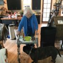 현지세차장 이미지