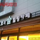 토토로의 숲 힐링카페