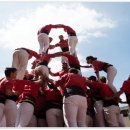 황제부동산행정사사무소 이미지