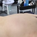 의정부 민락동 바디관리 숲칼프 의정부민락점 후기