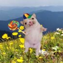 정음음악학원 | (´ω｀)2