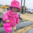 창조어린이집 - 안산시 상록구 | 비봉면 어린이집 리틀창조어린이집, 영아를 믿고 맡길 수 있었던 후기