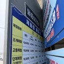 태안 갯벌체험장 추천 마검포 올메기마을 백합, 맛조개 사냥 후기
