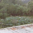 모텔티파니 이미지