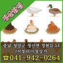 정산닭집 이미지