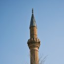 백삼농장 | 금산 특산물: 자연이 선물한 건강한 맛