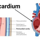 오뜨동물의료센터 이미지