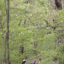 선비샘민박 이미지