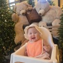 제주베어하우스 | 아기랑 가기 좋았던 경기도 광주 제주베어하우스 카페 후기🐻