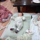 새로이밥상 이미지