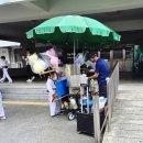 충무체육관 | 대전 태권도 국기원 승품 심사 충무체육관 후기