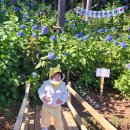 미나목장 이미지