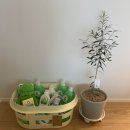 장바구리 이미지