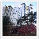 대림부동산랜드공인중개사사무소 | [동판교 아파트 소개] 휴먼시아 백현마을7단지 - 판교대림공인중개사/부동산