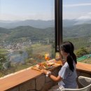 경북 청도 가볼만한곳 군파크 루지 테마파크 입장료 할인 청도 아이랑 가볼만한곳