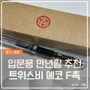 에코 | 트위스비 에코 F촉 후기 입문용 만년필추천