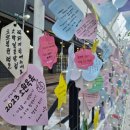 제27회 포천 산정호수 명성산 억새꽃 축제 이미지